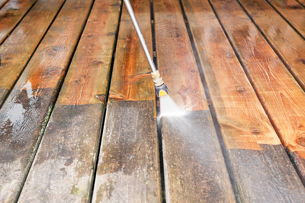 Best Animal Enclosure Cleaning  in Stanfield, NC